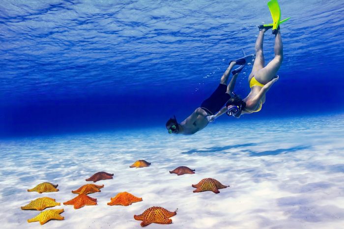 El Cielo Cozumel Snorkel Tour + 3 Arrecifes + Bebidas + Botanas $650 Pesos